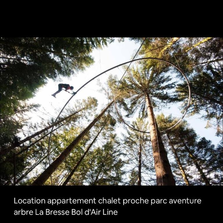Splendide appartement style chalet classé 4 étoiles, terrasse face à la montagne - Three-Bedroom Apartment - 49