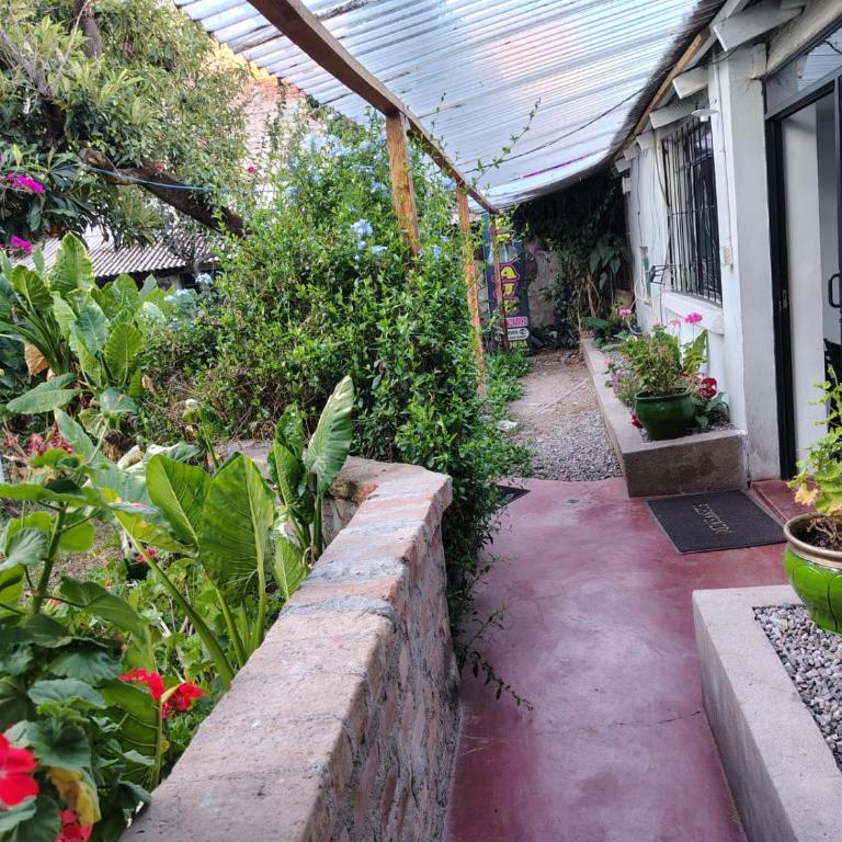 Casa Jardin - One-Bedroom Apartment - 32