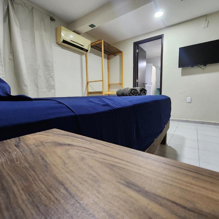 Casa Seloria - Standard Family Room - 1