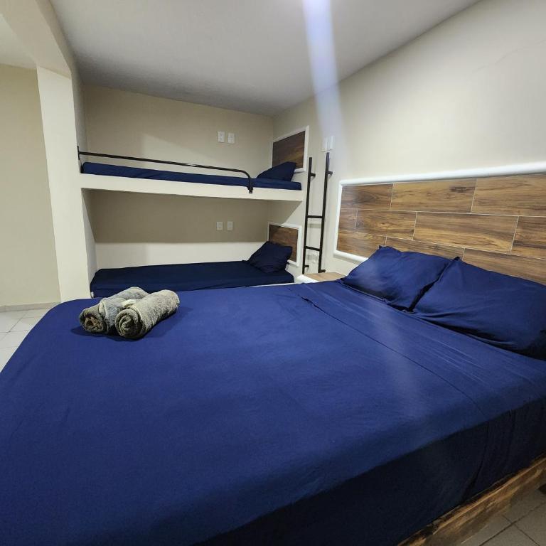 Casa Seloria - Standard Family Room - 4