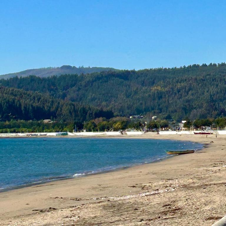 Lindo y cómodo departamento en Dichato - Apartamento de 3 dormitorios - 16