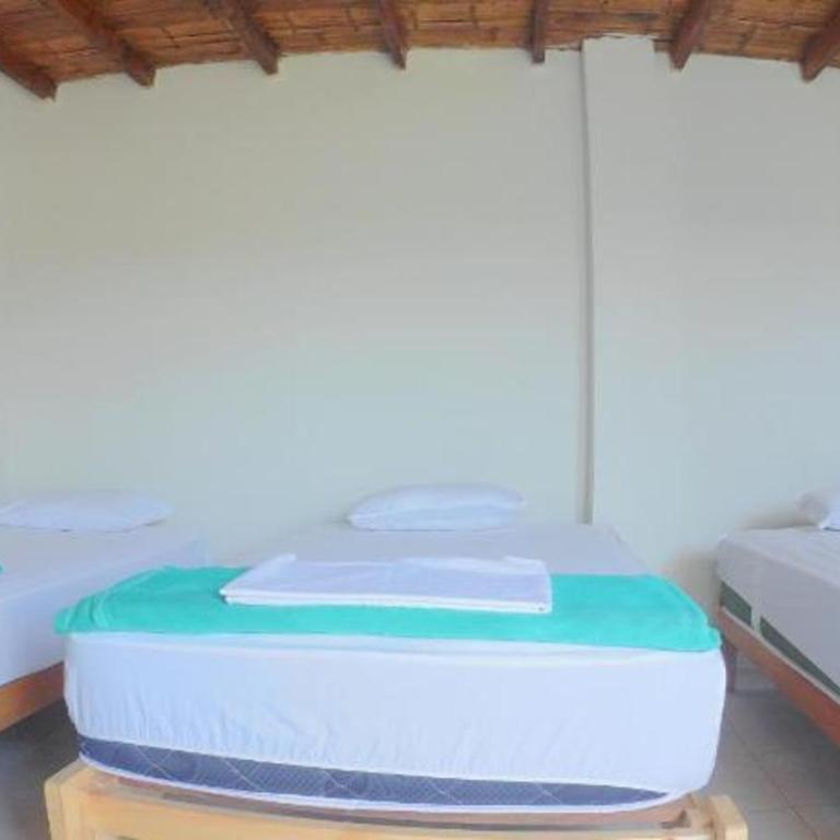 Hotel tropical paracas - Habitación Triple con baño privado - 3