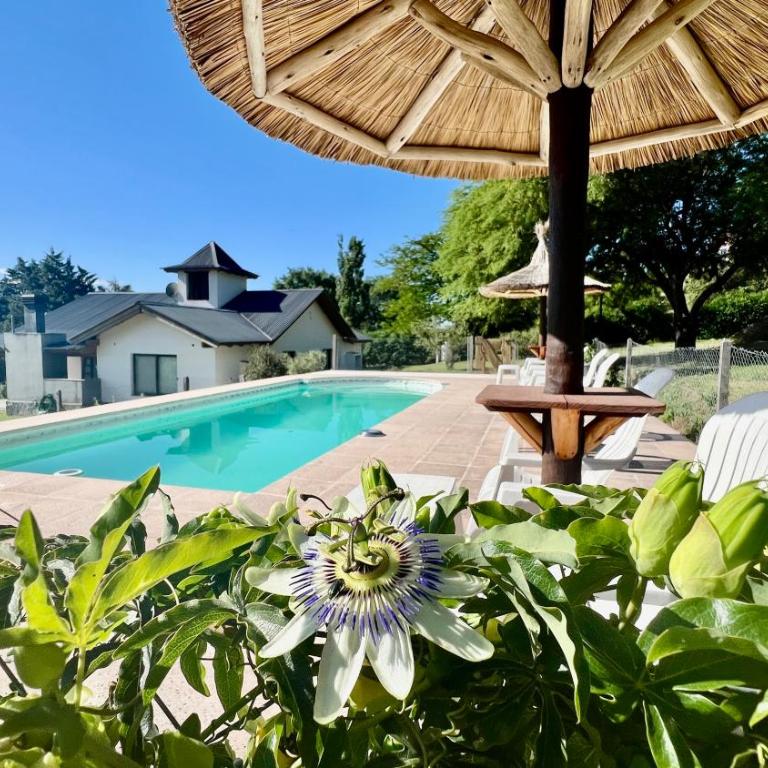 Fincas del Faldeo - Chalet de 2 dormitorios - 1