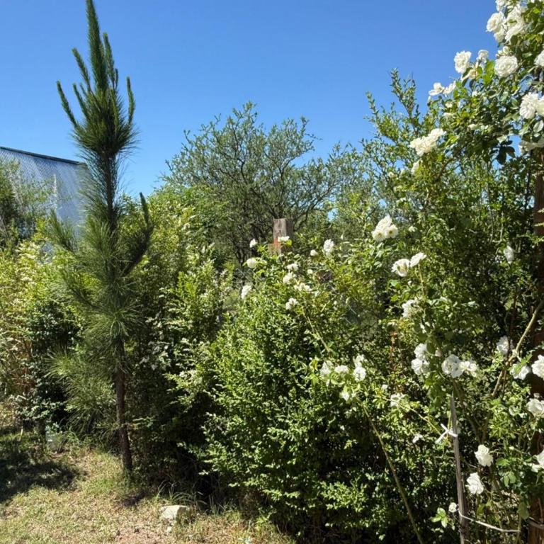 Brisas de montaña - Casa de 2 dormitorios - 3