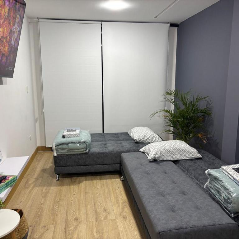 Loja Apartamento nuevo y acogedor - Apartamento de 2 dormitorios - 43