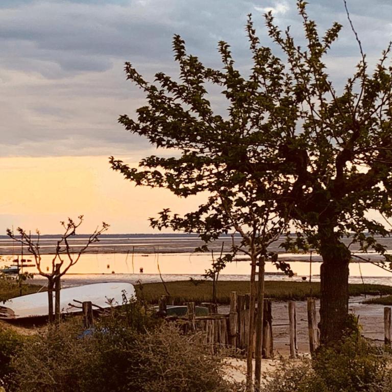 ARCACHON APPARTEMENT FACE PLAGE 5 pers Wi-Fi Parking Linge de maison gratuit 1chambre parentale 1cabine lits superposés 1 canapé lit - Two-Bedroom Apartment - 29