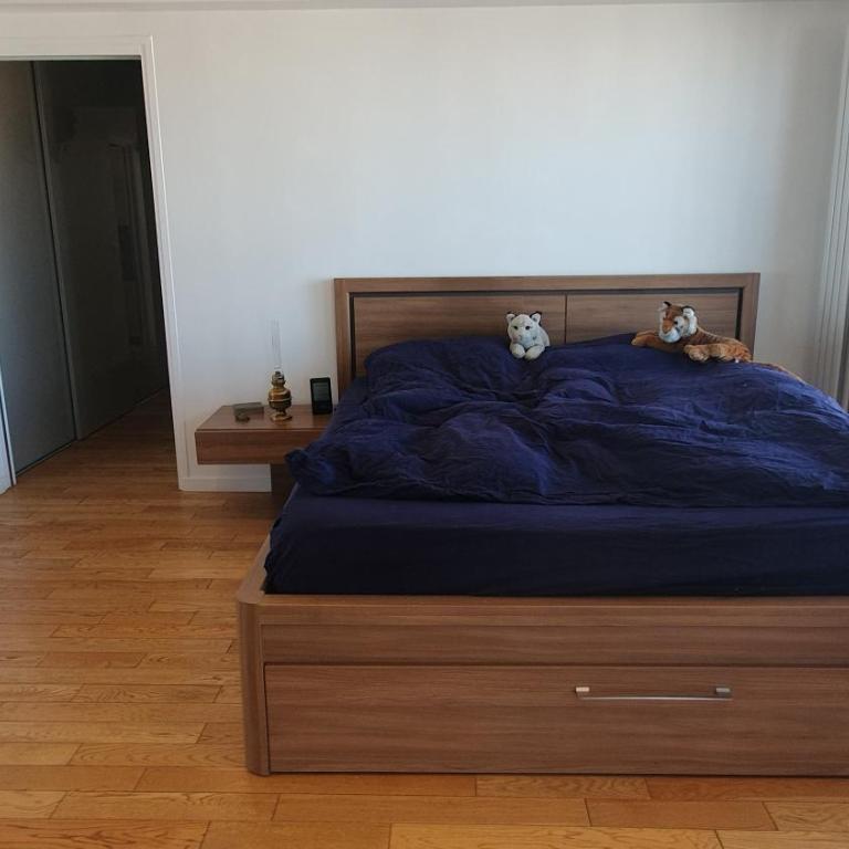 Montsouris park - Appartement 1 Chambre - 10