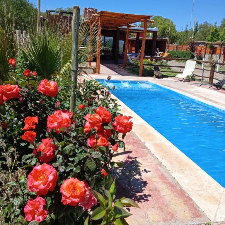 Complejo HUNUC - Casa de 2 dormitorios - 36