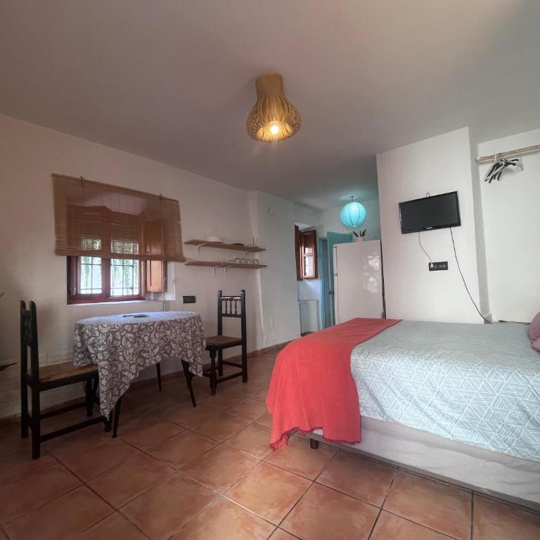 Estudio en el Albayzin - One-Bedroom Apartment - 4
