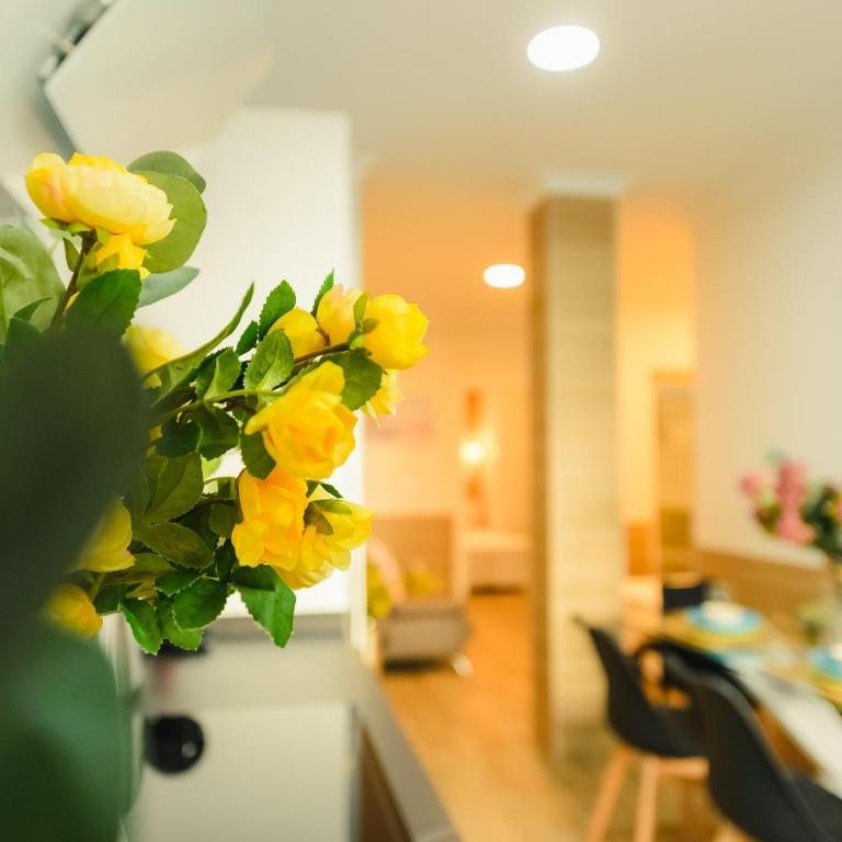 Apartamento Reyes Católicos Conil - Apartamento Superior - 17
