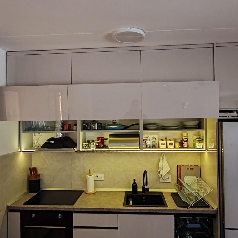 Lux Star Belgrade - Free Garage Parking - Apartman sa 1 Spavaćom Sobom - 7