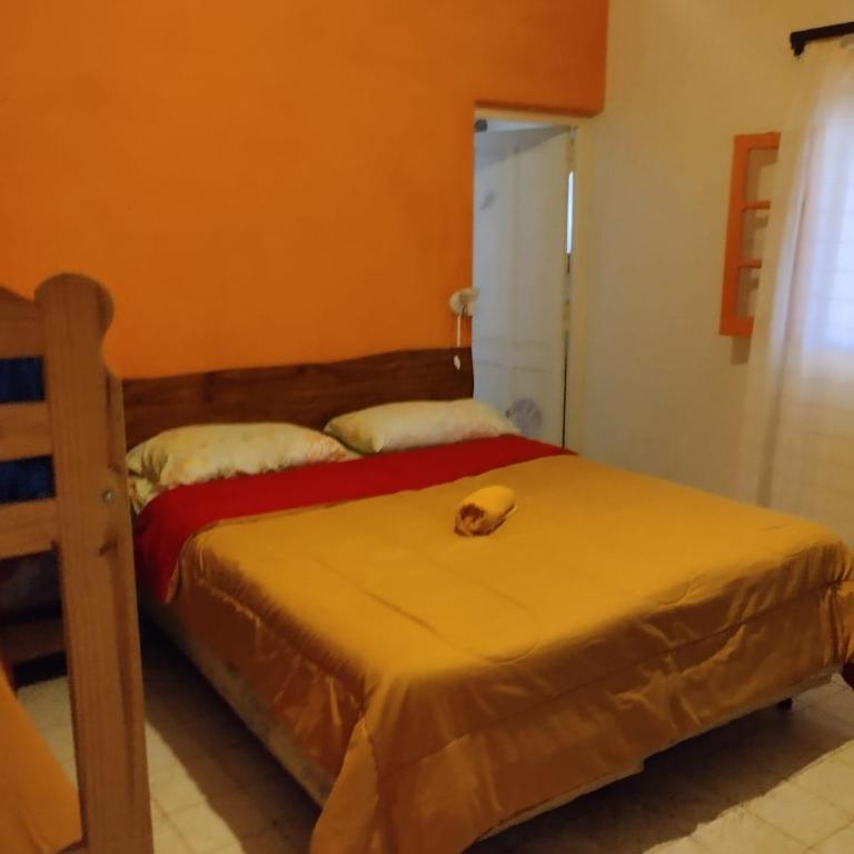 Estrella Vladimir Hostel - Quadruple Room with Garden View - 24