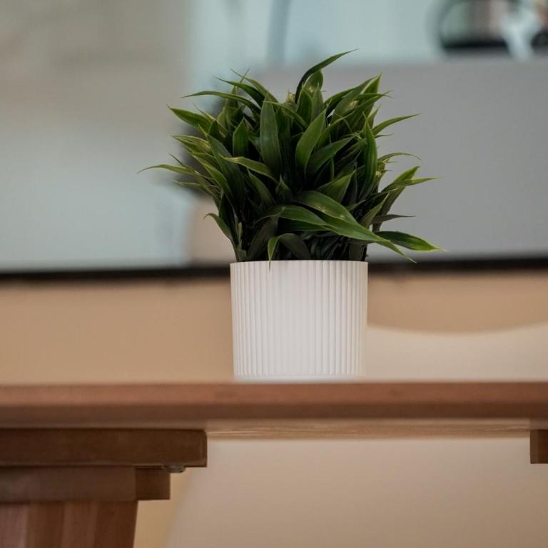 Loft a Estrenar - Balcon - zona rio - Apartamento de 1 dormitorio - 12