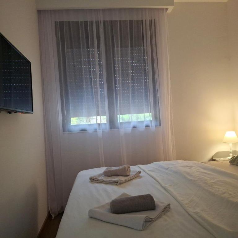 Green Harmony - Apartman sa 1 Spavaćom Sobom - 8