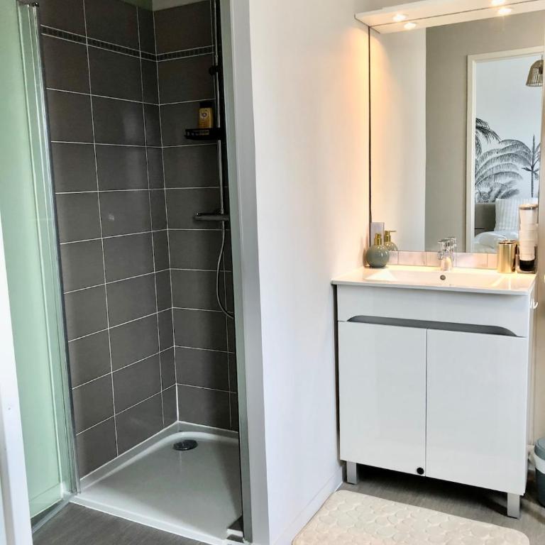 La suite Gariguette-parking privé-balcon - One-Bedroom Apartment - 9