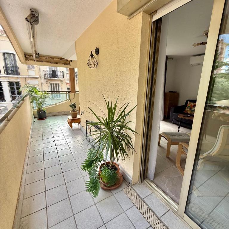 Appartement cosy avec terrasse, proche plages & Palais - Appartement 1 Chambre - 14