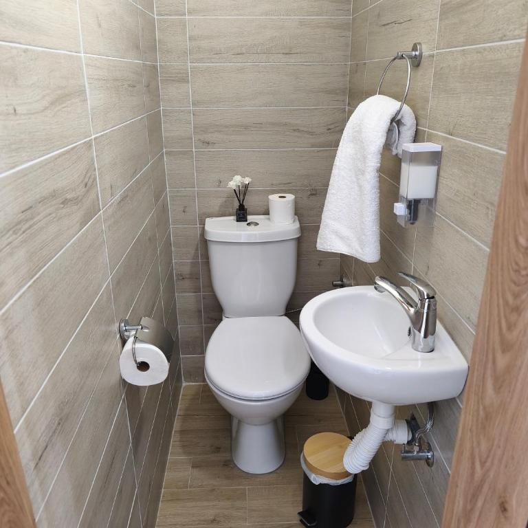 Planina zove Divčibare - One-Bedroom Apartment - 18