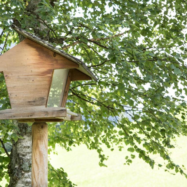 Ferienhaus Sara Bad Kleinkirchheim - Haus mit 3 Schlafzimmern - 36