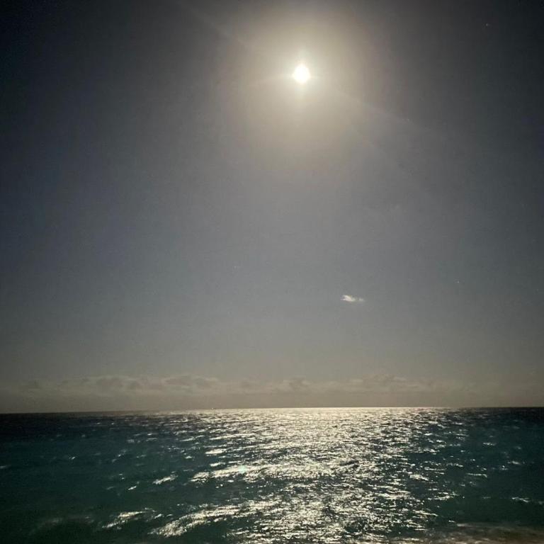 Favorite Suite Cancun - BEACH CONDO - 6PX - Apartamento - 45
