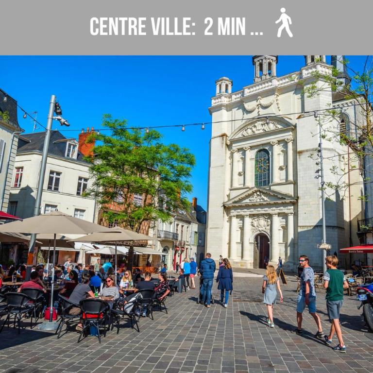 Le Velours - Centre Ville - Calme - Cosy - Appartement 1 Chambre - 48