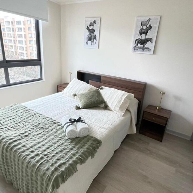 Apartamento en Santiago - One-Bedroom Apartment - 6