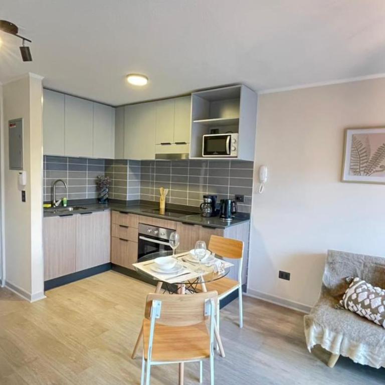 Apartamento en Santiago - One-Bedroom Apartment - 13