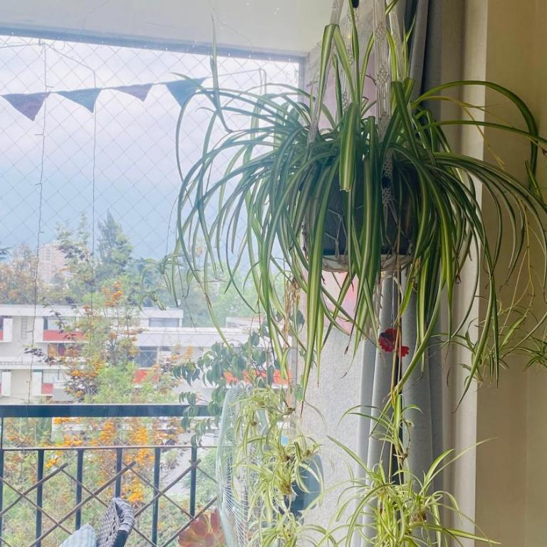 Departamento completo en Ñuñoa - Apartamento de 1 dormitorio - 5