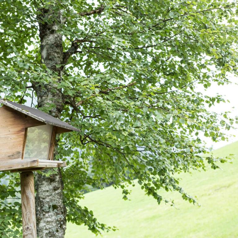 Ferienhaus Sara Bad Kleinkirchheim - Haus mit 3 Schlafzimmern - 38