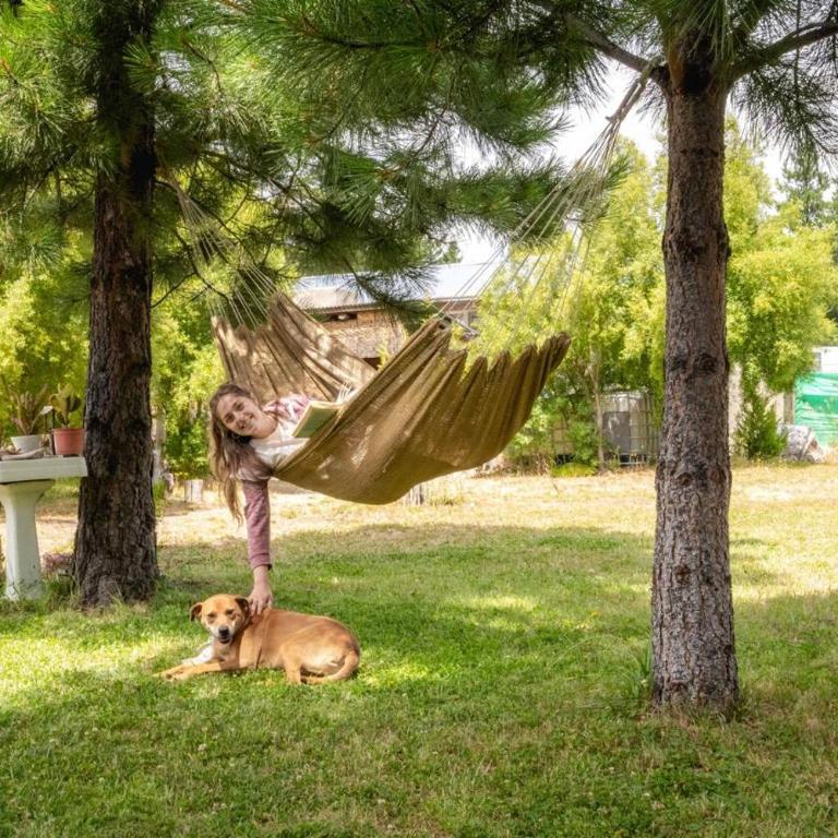 Cabaña la Delfina - Chalet de 1 dormitorio - 9