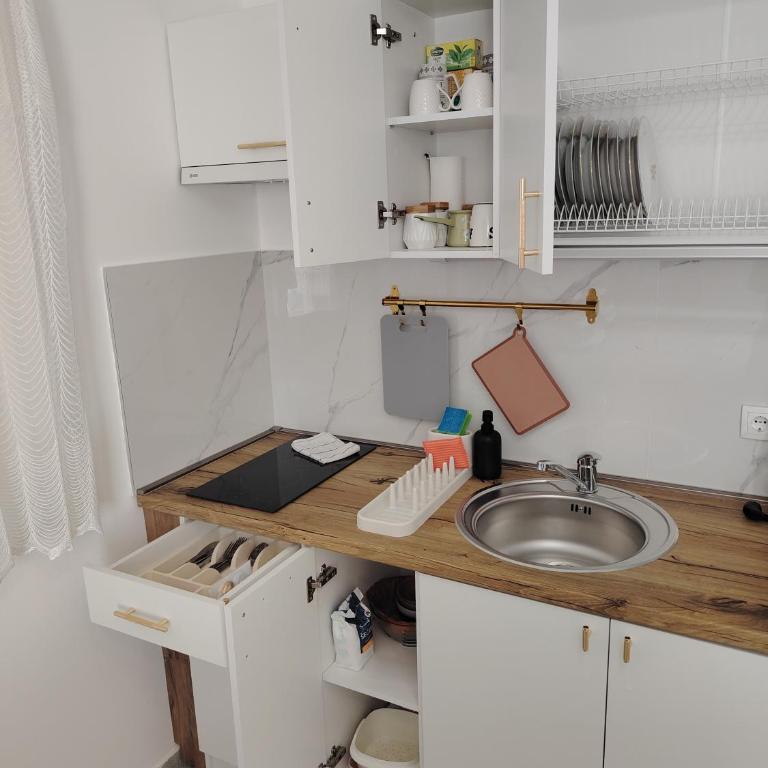 Studio ISKRA 2 Novi Sad - Apartman sa 1 Spavaćom Sobom - 15