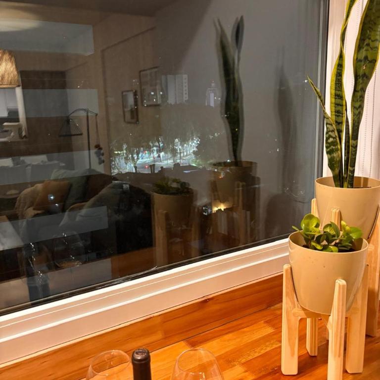 Pirca NQN - Apartamento de 1 dormitorio - 44