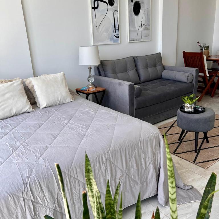 Charlotte Belgrano Posadas - Apartamento Estudio - 3