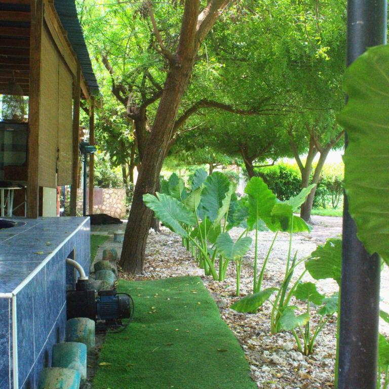 Mango Tree Island 420 - One-Bedroom Villa - 36