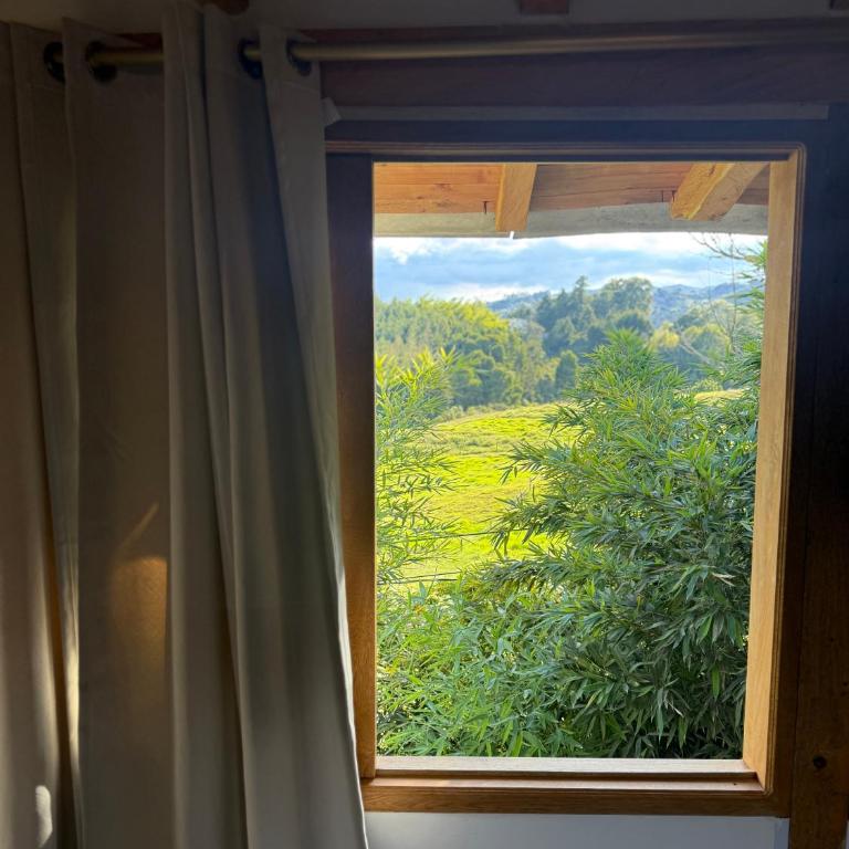 Cabaña del bosque - Apartamento de 1 dormitorio - 2