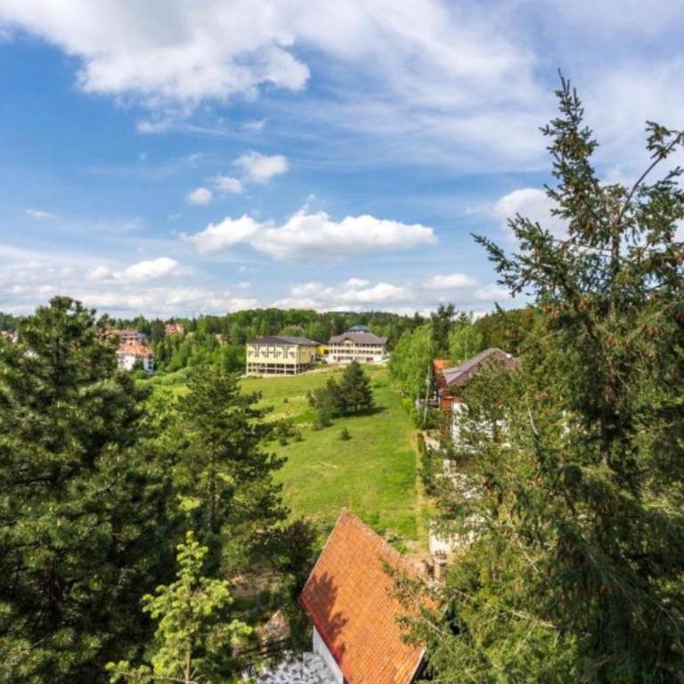 Apartman ZLATIBORSKI SJAJ - Apartman sa 1 Spavaćom Sobom - 2