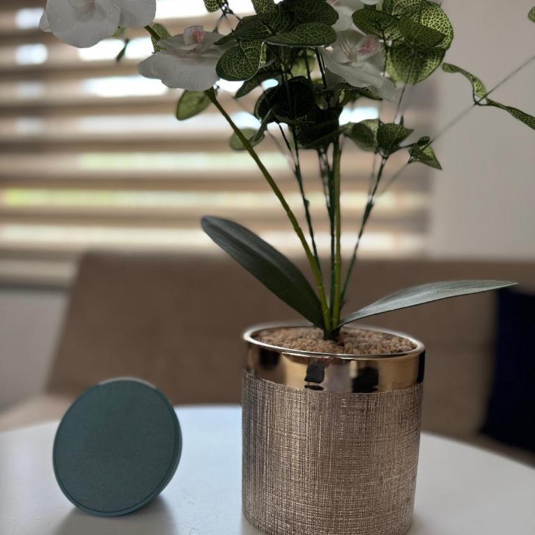 Apartamento PUERTA DE LA VILLA - Apartamento de 2 dormitorios - 9