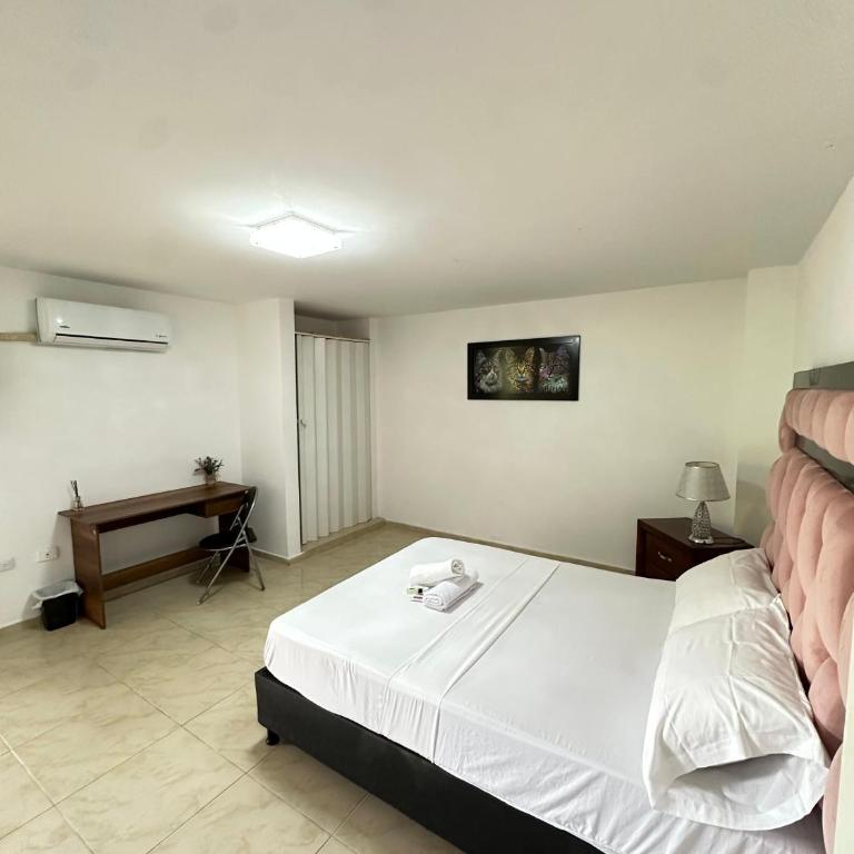 San Alejo - Suite Superior - 6