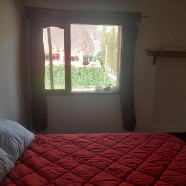 La torcaza - Apartamento de 2 dormitorios - 1