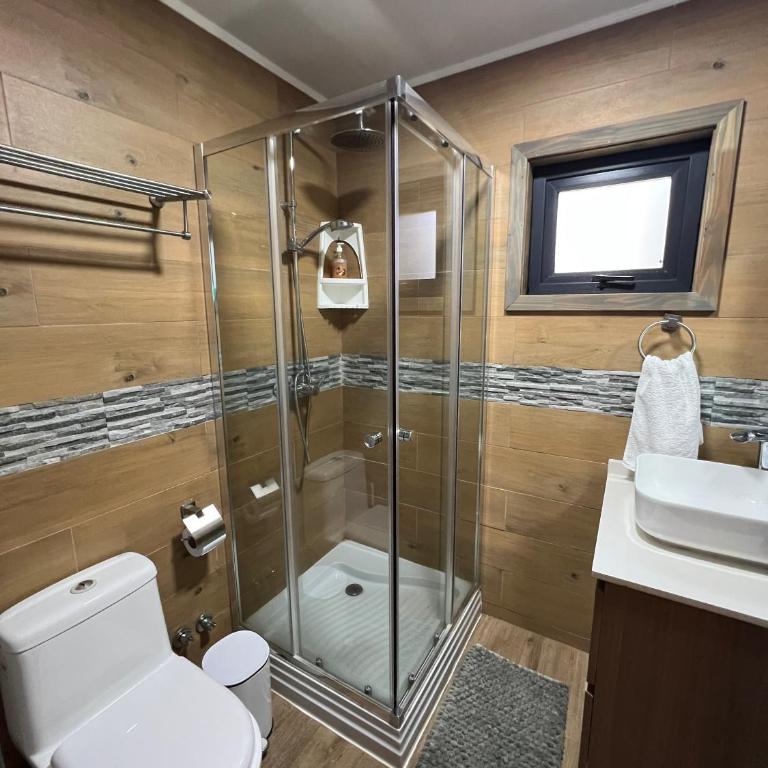 Amplia Casa Malalcahuello 8pers 3piezas full Wifi Starlink - Chalet - 18