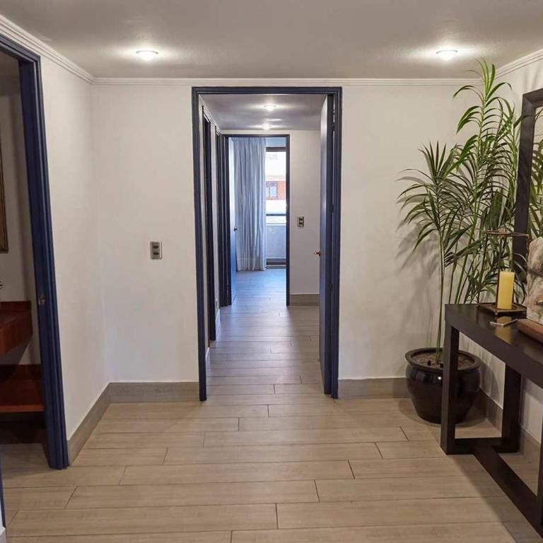 High category penthouse in Las Condes - Apartment - 25