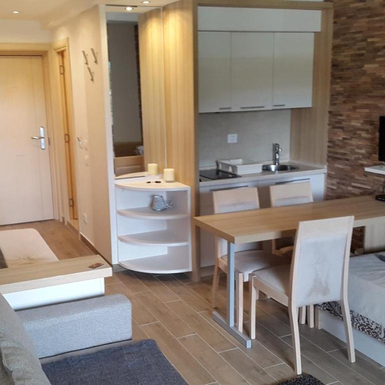 Apartmani Kopaonik Centar Maglic - Deluxe Apartment - 4