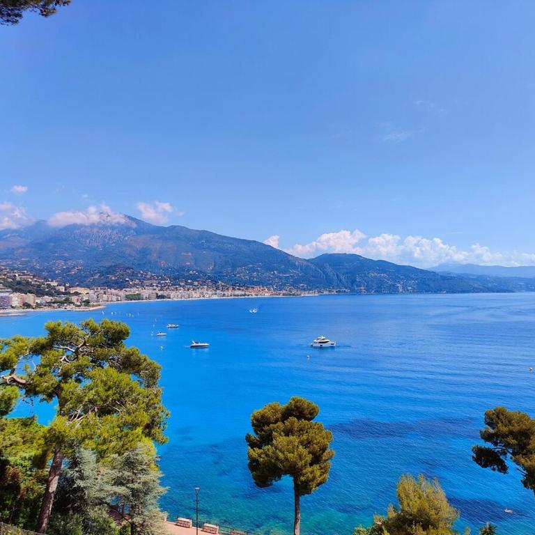 Le COQ Bleu d'Azur- Piscine - Parking - AC -WIFI - Appartement 2 Chambres - 29