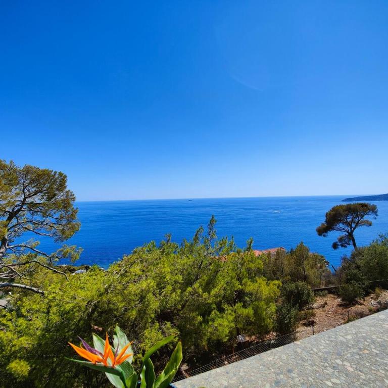 Le COQ Splendide vue - Beautiful pool - Parking - Apartamento de 1 dormitorio - 19