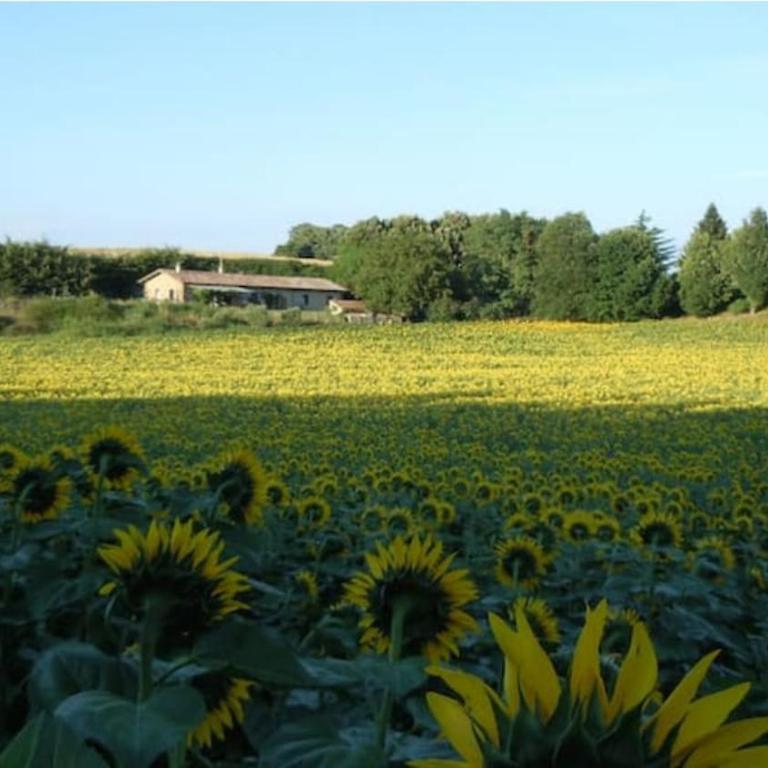 Il Picchio e la Stella - Two-Bedroom House - 16