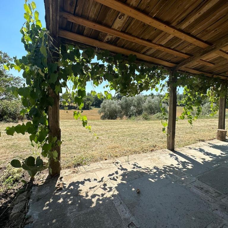 Il Picchio e la Stella - Two-Bedroom House - 27