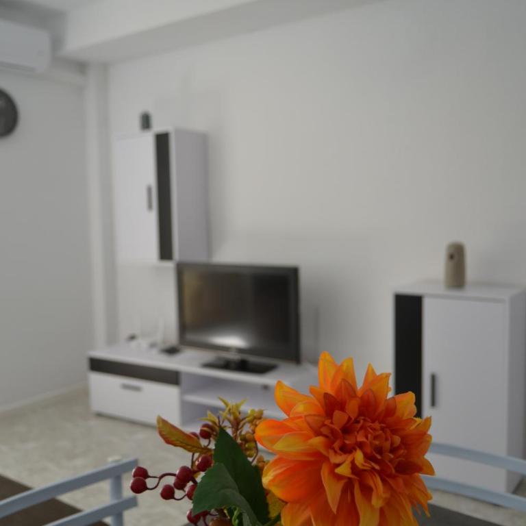 Safestay Calpe Seafront - Apartment Atlantico - Apartamento 1 dormitorio con vistas al mar y terraza - 12