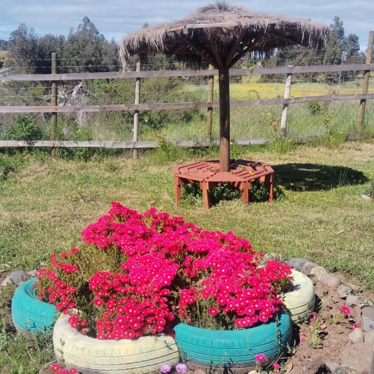 Quillon Cabaña Privada Vista al Valle - Four-Bedroom Vacation Home - 54