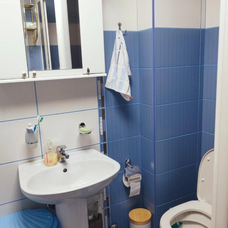 Look Apartman - Apartman sa 1 Spavaćom Sobom - 9