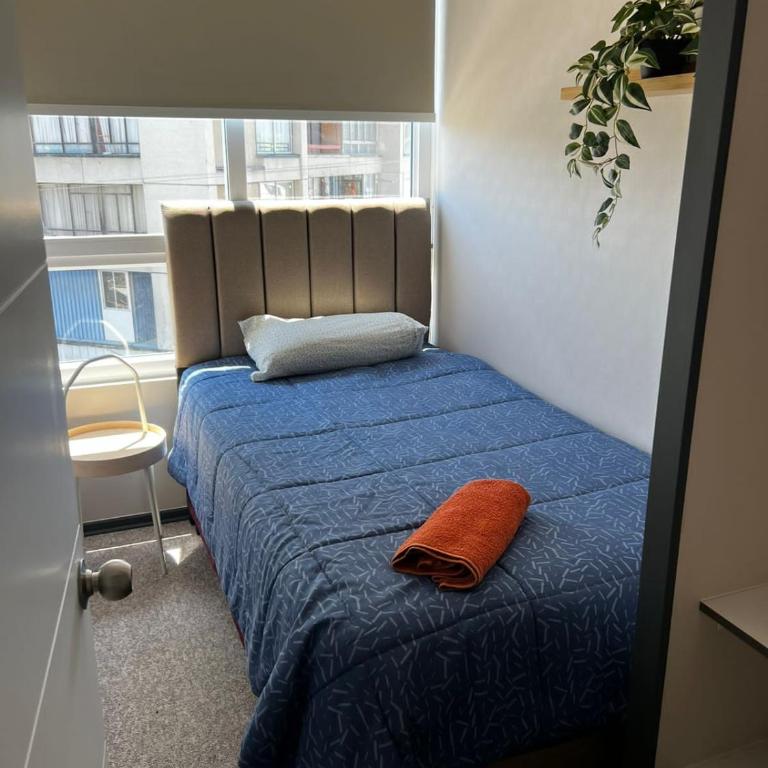 Dep nuevo - Apartamento - 8