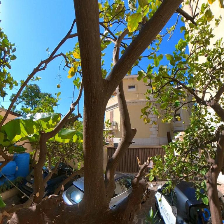Villa Regina - Sylva - Appartamento Standard - 1